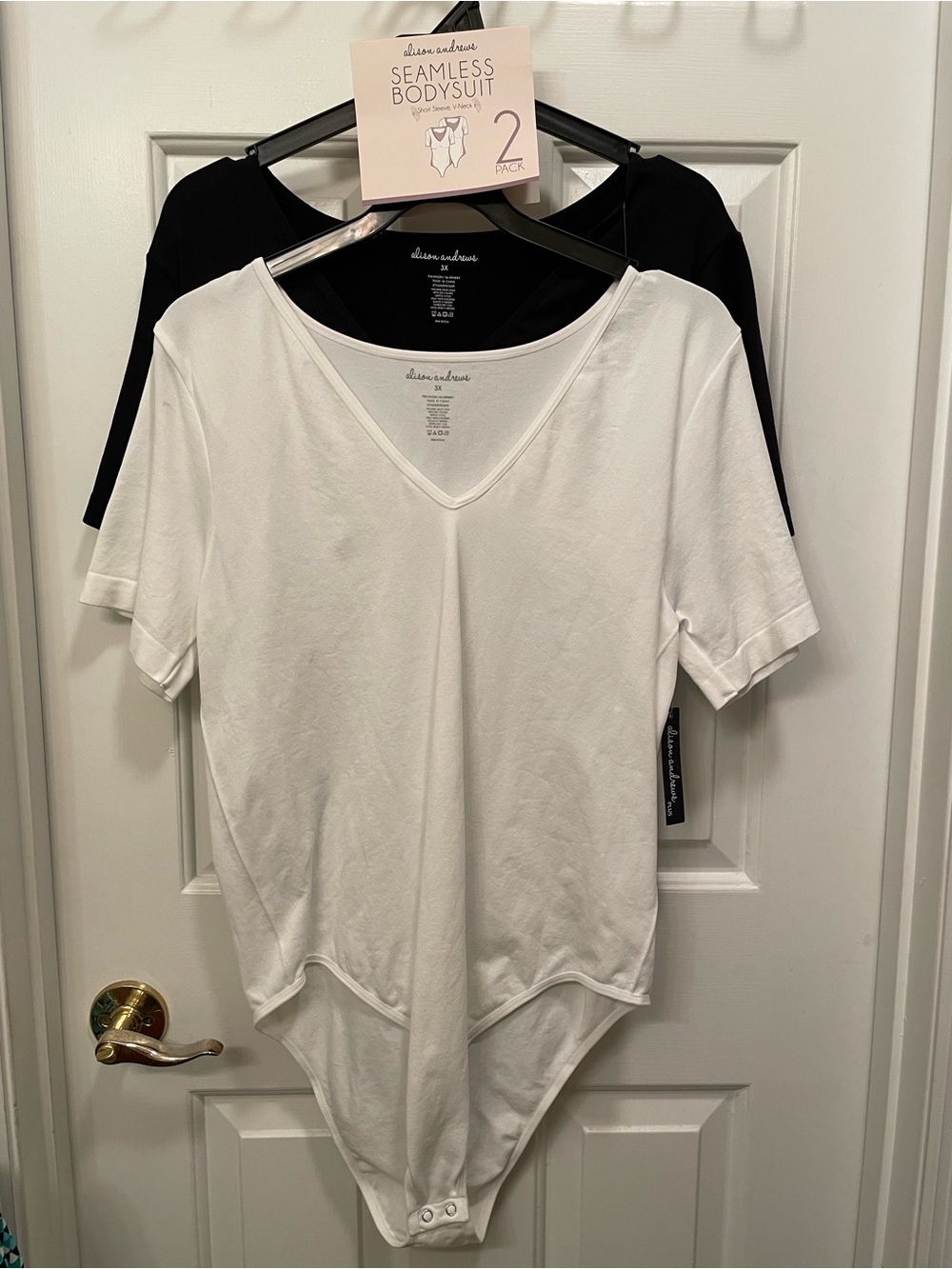 Alison Andrews Seamless V-Neck Bodysuit 2 SetbWhite & Black 3X